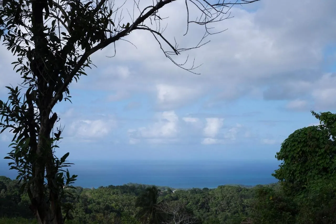 Lodge The Lion House Jamaica Villa Clifton Falls Jamaica