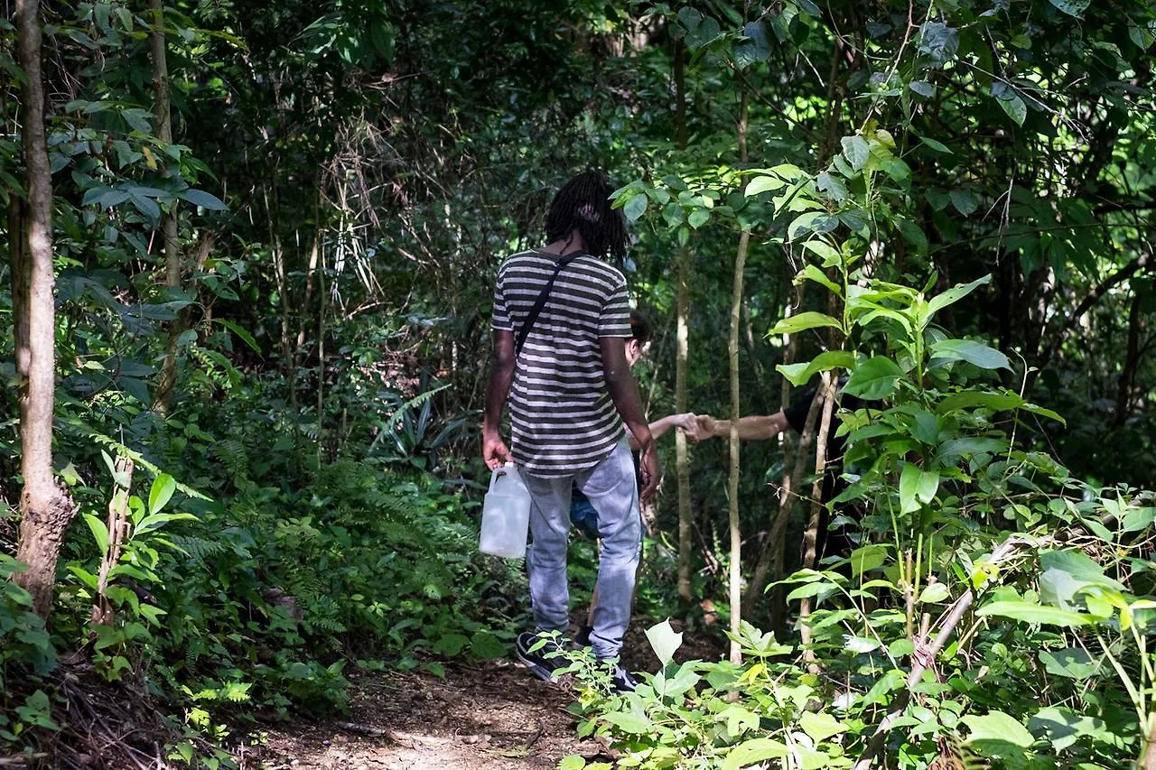 The Lion House Jamaica Villa Clifton Falls