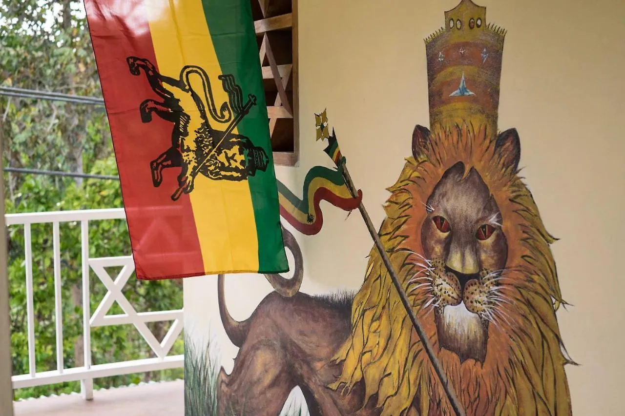 Lodge The Lion House Jamaica Villa Clifton Falls