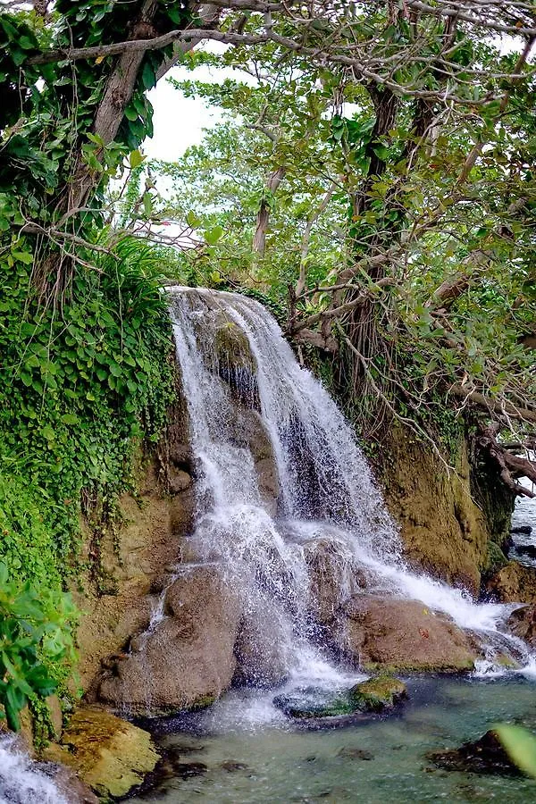 The Lion House Jamaica Villa Clifton Falls 0*,  Jamaica