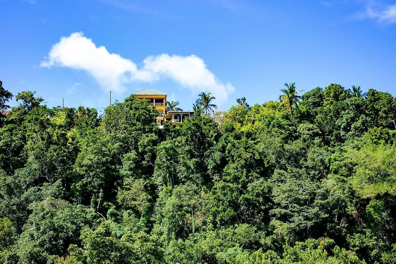 Lodge The Lion House Jamaica Villa Clifton Falls Jamaica