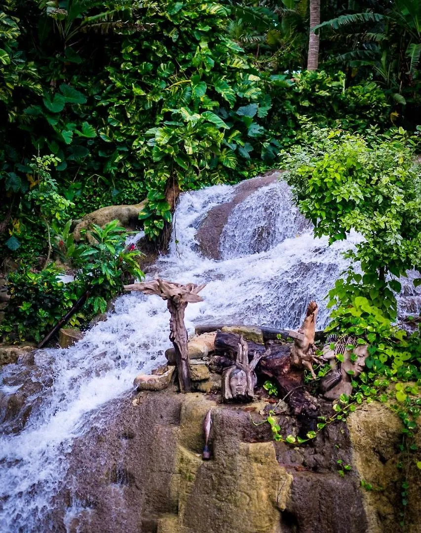 The Lion House Jamaica Villa Clifton Falls