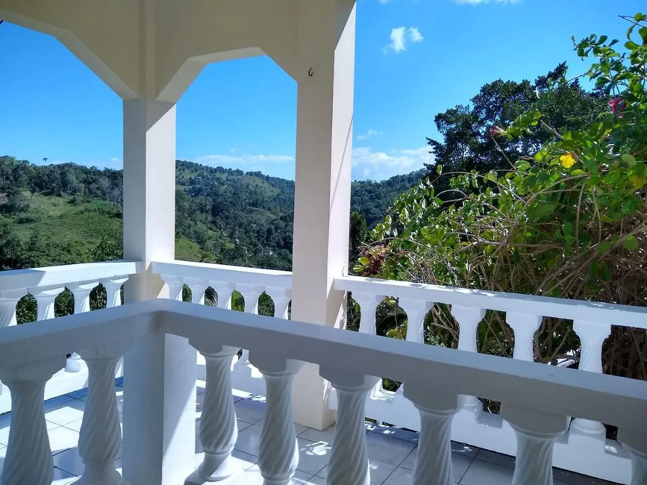 The Lion House Jamaica Villa Ocho Rios Jamaica