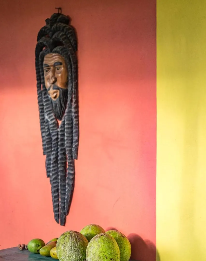 Lodge The Lion House Jamaica Villa Ocho Rios