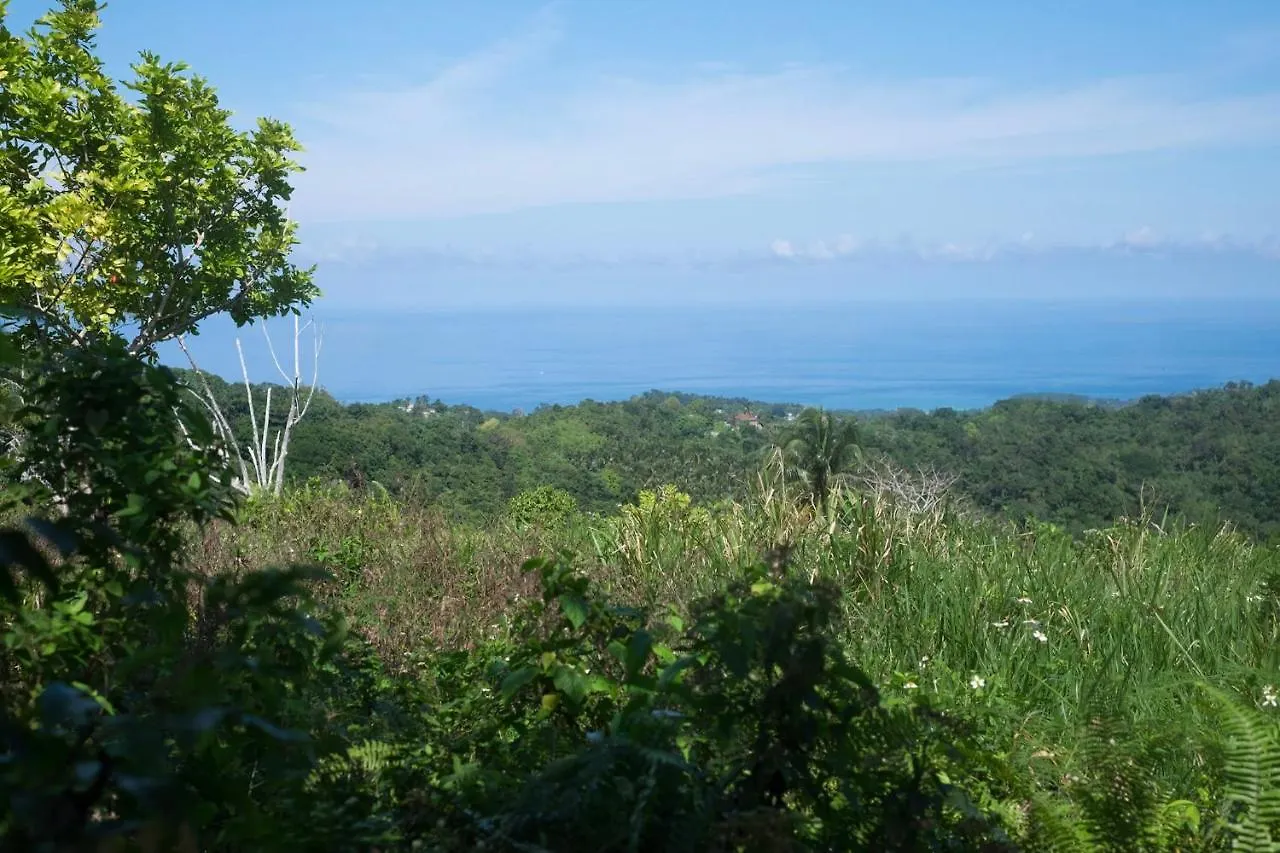 The Lion House Jamaica Villa Ocho Rios Clifton