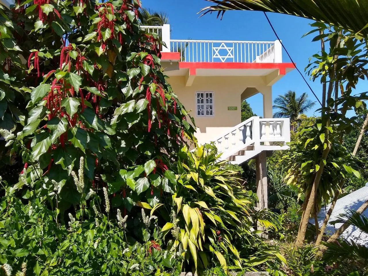 Lodge The Lion House Jamaica Villa Ocho Rios Jamaica